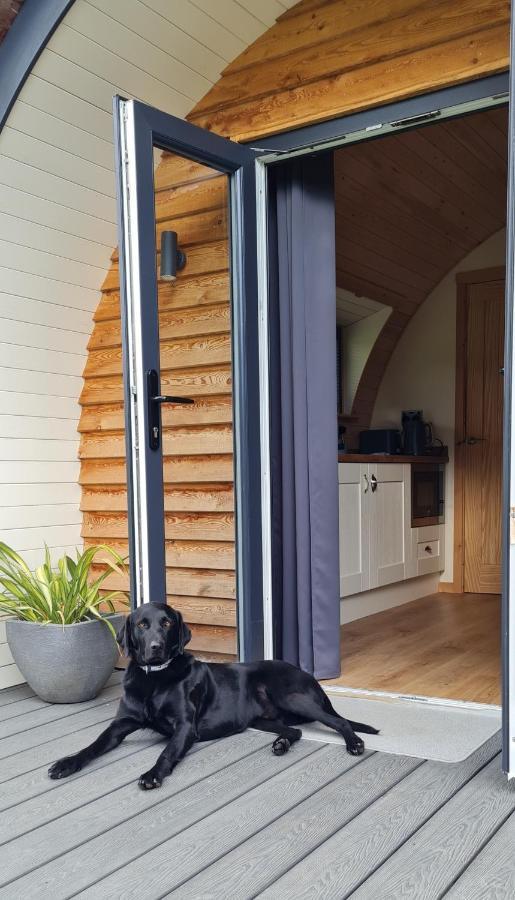 Habberley Glamping Pods Hotel Shrewsbury Bagian luar foto